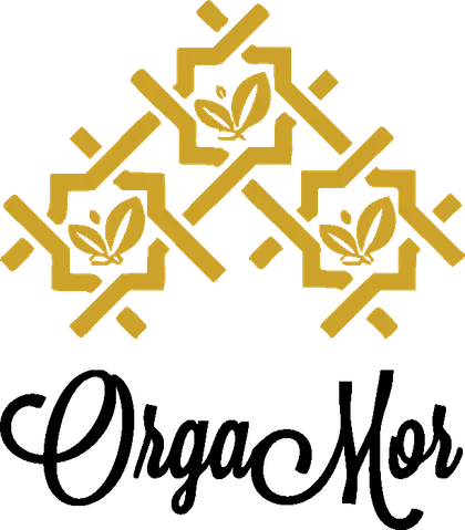 Logo OrgaMor, créé par le Studio Créa